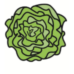Salade verte