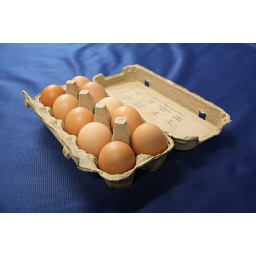 Boite d'oeufs