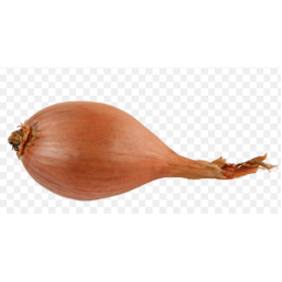 échalote