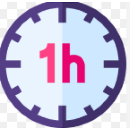 1 h